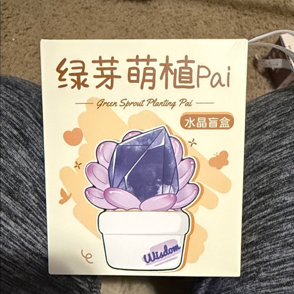 Other - Green sprout Pai